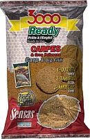 SENSAS Nada 3000 Ready Carp/big Fish 1, 25kg (a0.s10971)