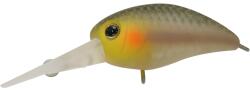 JACKALL Vobler Jackall Panicra MR, Culoare Shizuoka Bizin, 3.2cm, 3.3g (JA.807191233)