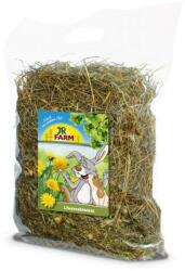 JR FARM Széna gyermekláncfű 500g (JR06970)