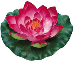 Pontec PondoLily red - piros dekor tavirózsa