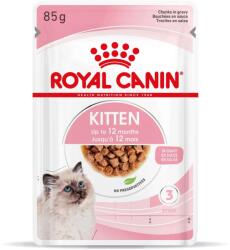 Royal Canin Kitten - Nedvestáp Szószban - 85g (125739)