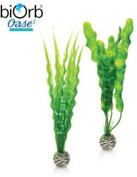Oase Vízinövény dekoráció - zöld - közepes - 2db - biOrb