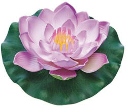 Pontec PondoLily purple - lila dekor tavirózsa