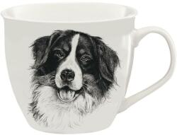 Ambition Wild bögre 550 ml bordercollie (5907078482446)