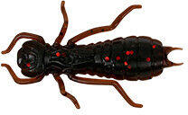 Wizard Larva Col. 003 6pcs/bag