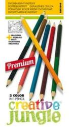 SaKOTA Dupla színű ceruza 12 darabos készlet (ABA1846A)