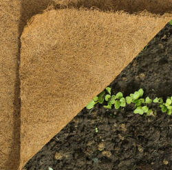 Nature Gyékényszőnyeg tekercsben 0, 6 cm x 1 m (Nature)