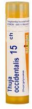  Thuja Occidentalis golyócskák 15CH 4g