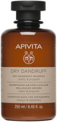 APIVITA Sampon száraz korpa ellen 250 ml