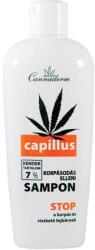 Cannaderm Capillus sampon KORPÁSODÁS ELLEN 150ml