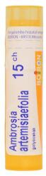  Ambrosia Artemisiaefolia golyócskák 15CH 4g