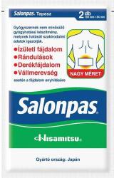  Salonpas Large tapasz 2x