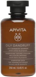 APIVITA Sampon zsíros korpa ellen 250 ml - patikam