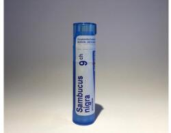  Sambucus Nigra golyócskák 9CH 4g