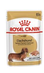 Royal Canin Dachshund Adult - Tacskó felnőtt kutya nedves táp 85 g (9003579001585)