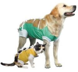  Kuna műtét utáni ruha - szuka kutyáknak xxxl 1 db