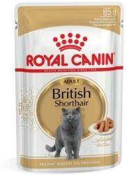 Royal Canin British Shorthair Felnőtt Macska Nedvestáp - 85g (9003579001257)