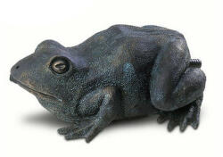 Pontec vízköpő béka