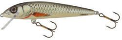 Salmo Wobbler Minnow M9f D