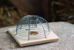 Nature Élvefogó egércsapda drótkalitka műanyag alappal