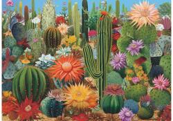 bboldin Z-236 - Cactus Flower Garden - 1000 db-os puzzle (Z-236)