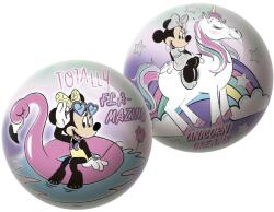 Retoys Labda 23 cm - Minnie Ajánlott 3-10 éves korig lányoknak (36786)