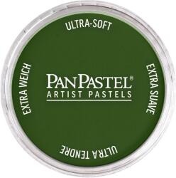 PanPastel Artists’ Pastel uscat 660.5 Chromium Oxide Green 1 buc (8026605-1)