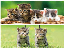  3D könyvjelző cicák 15, 5x4, 5cm