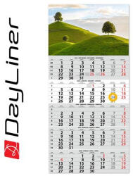 Dayliner Naptár, speditőr, öt hónapos, egy tömbös, DAYLINER (DL6SP-1H5-HA) - bestoffice