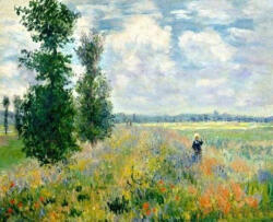 Figured Art Set pictura pe numere, cu sasiu, Camp de maci - Monet, 40x50 cm (PN1315-Y)