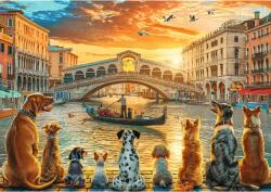 Trefl - Puzzle Dogs at Venice - 1 000 piese