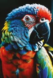Interdruk - Puzzle Colourf. Nature: Parrot - 250 piese