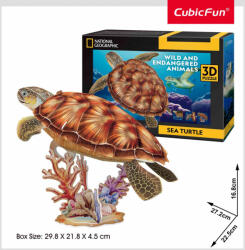 CubicFun - PUZZLE 3D TESTOASA MARINA 31 PIESE (CUDS1080h) - ejuniorul