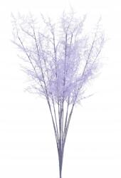 Dalia-RP Asparagus Plumosus ág lila 12 db mesterséges kiegészítők (gałązki sztuczne do kompozycji)