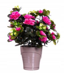 Dalia-RP Virágtartó fedél cappucino állvánnyal (Oslonka doniczka)