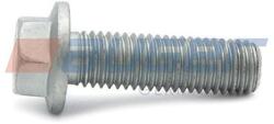 AUGER Surub AUGER 101879 (101879)