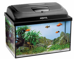 HUNTER HUNTER Hilo Comfort nadrágtartó, narancssárga, S méret