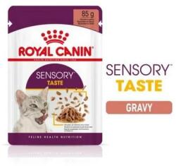 Royal Canin Sensory Taste - szószos nedves táp felnőtt macskák részére 12 x 85 g (146922)