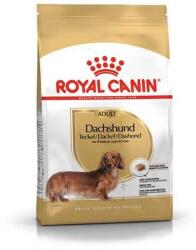 Royal Canin BHN DACHSHUND ADULT 1, 5kg - szárazeledel felnőtt tacskó kutyáknak