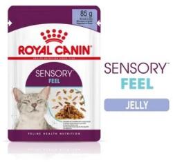 Royal Canin Sensory Feel - zselés nedves táp felnőtt macskák részére 12 x 85 g (146920)