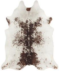 Malmo Covor Premium Belgian Model Malmo P0181-038, Marime 155 x 190 cm, Crem, Inaltime Fir 4 mm, Antialergic, Polipropilena, Living, Dormitor, Sufragerie, Birou (P0181-038 1.55x1.9) Covor
