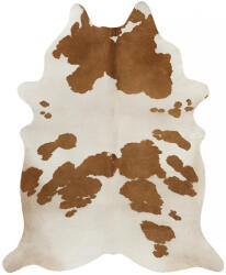 Malmo Covor Premium Belgian Model Malmo P0142-068, Marime 155 x 190 cm, Maro, Inaltime Fir 4 mm, Antialergic, Polipropilena, Living, Dormitor, Sufragerie, Birou (P0142-068 1.55x1.9) Covor