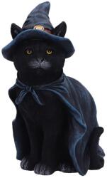 Nemesis Now Statuetă Nemesis Now Adult: Gothic - Bewitching, 18 cm (U6689A24) Figurina