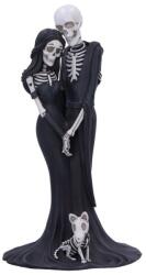 Nemesis Now Statuetă Nemesis Now Adult: Gothic - Eternal Companion, 24 cm (B7195C25) Figurina