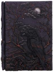 Nemesis Now Agenda Nemesis Now Adult: Gothic - Raven's Grimoire (D7209C25)