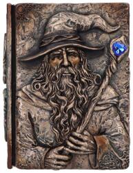 Nemesis Now Agenda Nemesis Now Adult: Magic - Wizard's Grimoire (D7208C25)