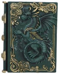 Nemesis Now Agenda Nemesis Now Fantasy: Dragons - Dragon's Grimoire (D7207C25)