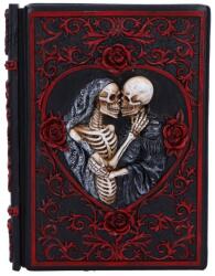 Nemesis Now Agenda Nemesis Now Adult: Gothic - Lovers Grimoire (D7210C25)