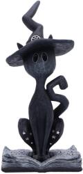 Nemesis Now Statuetă Nemesis Now pentru adulți: Magic - Conjure, 15, 2 cm (B7205C25) Figurina