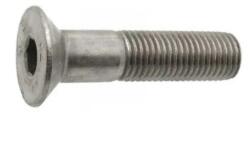 Schaefer-Peters Surub Cap Inecat Locas Inbus 7991 Inox A2-M10 x 30 (799121030S)